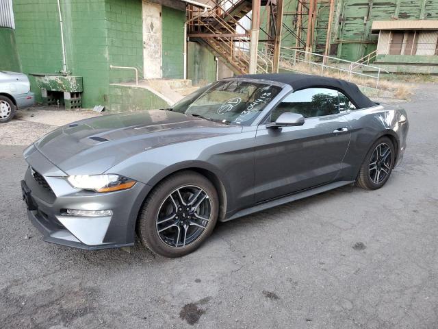 Ford All models (2023)