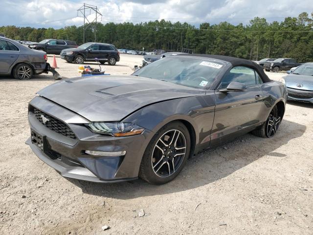Ford All models (2018)