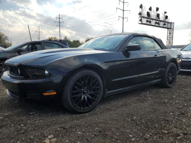 Ford All models (2010)
