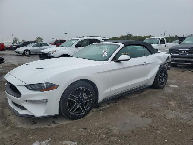 Ford All models (2019)