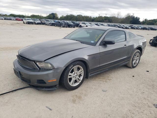 Ford All models (2010)