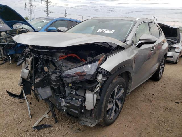 Lexus Nx 300h ba (2021)