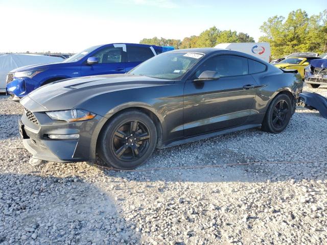 Ford All models (2019)