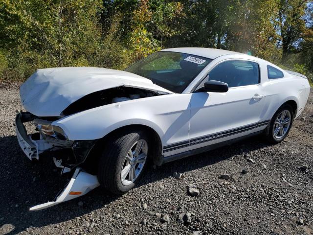 Ford All models (2010)