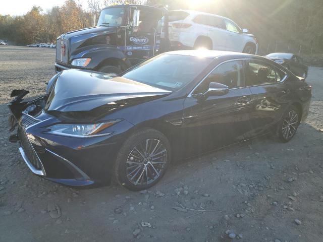 Lexus Es250 (2023)