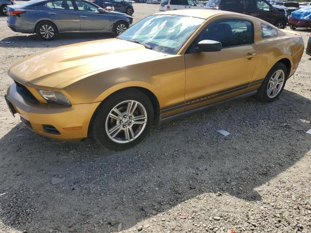 Ford All models (2010)