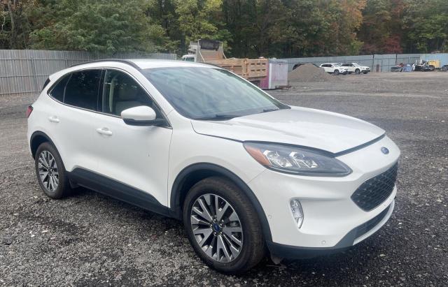 Ford Escape tit (2020)