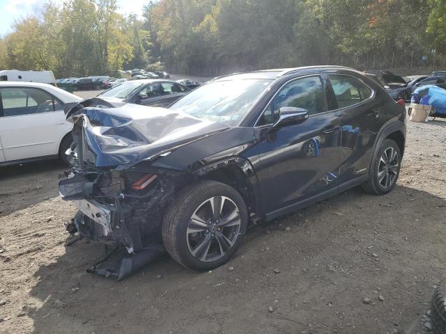 Lexus Ux 250h (2019)