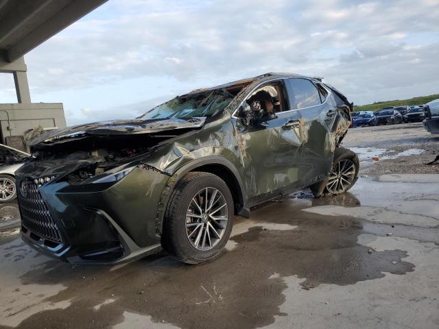 Lexus Nx 250 (2023)