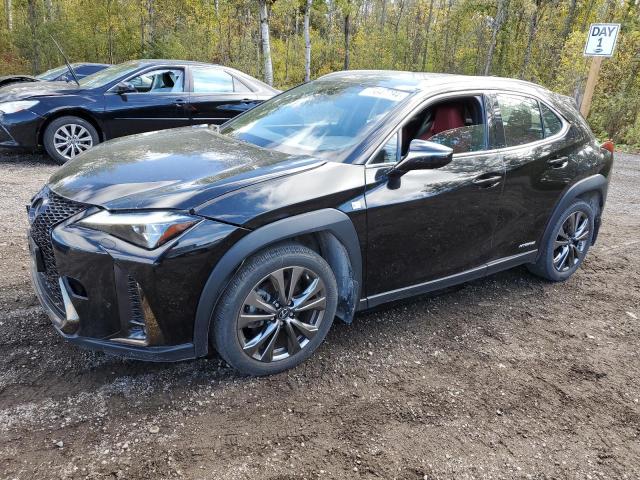 Lexus Ux 250h (2020)