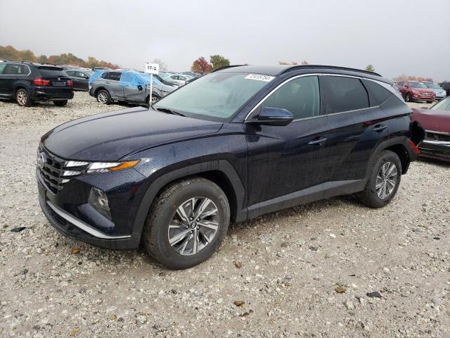 Hyundai Tucson blu (2022)