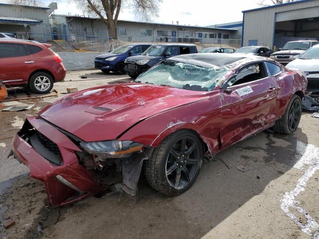 Ford All models (2019)