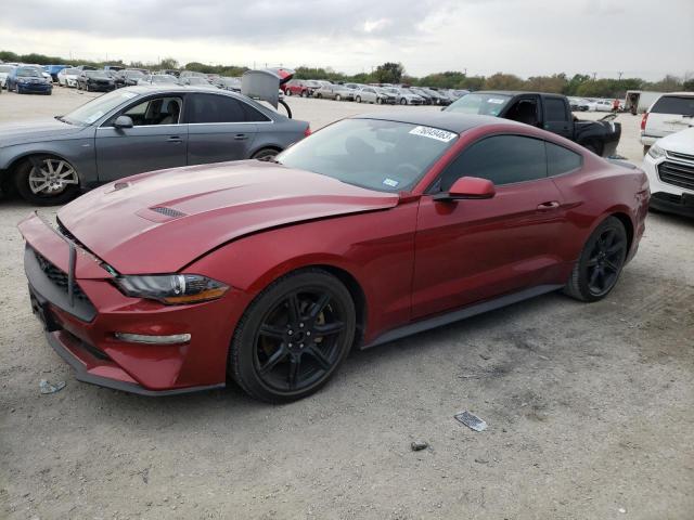 Ford All models (2019)