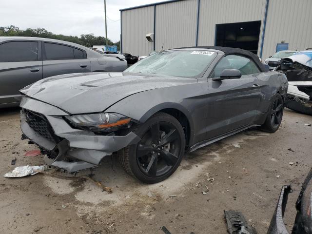 Ford All models (2021)
