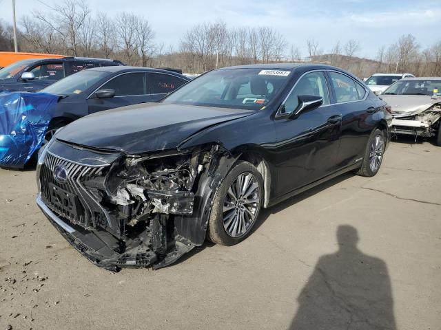 Lexus Es300 (2020)