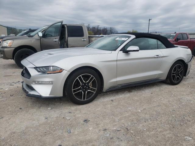 Ford All models (2019)