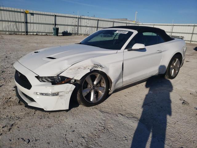 Ford All models (2019)