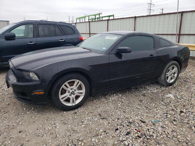 Ford All models (2013)