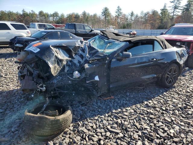 Ford All models (2019)