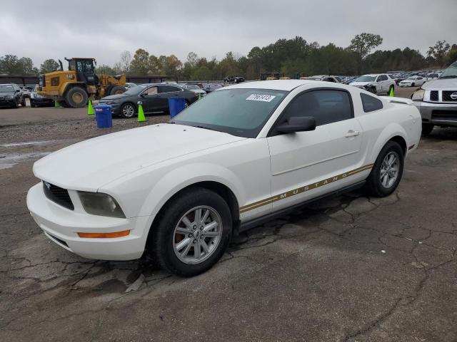 Ford All models (2005)