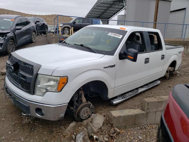 Ford All models (2011)