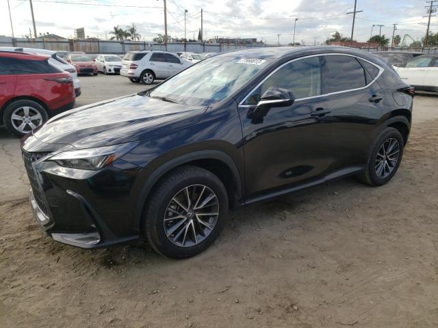 Lexus Nx 350 (2023)