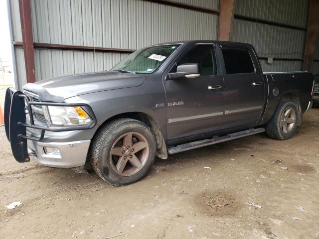 Dodge All models (2009)