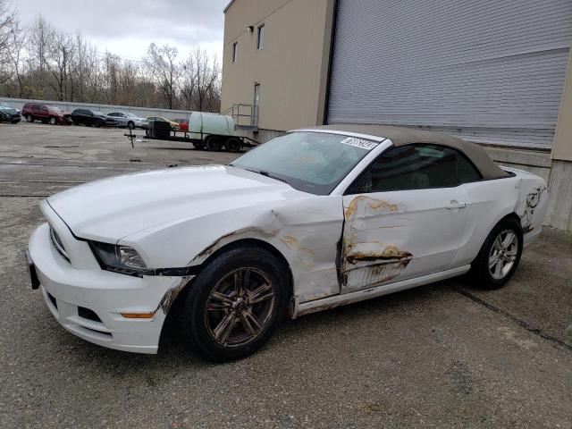 Ford All models (2014)