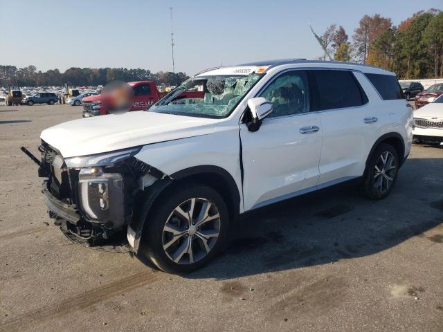 Hyundai Palisade (2021)