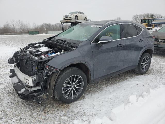 Lexus Nx 250 (2022)