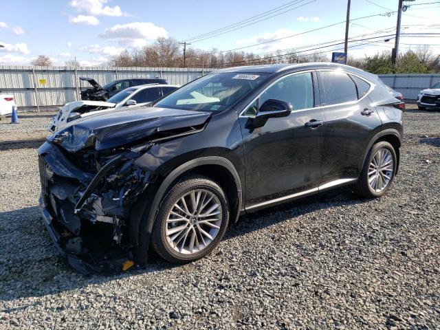Lexus Nx 350 lux (2024)