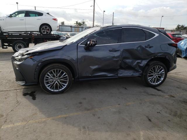 Lexus Nx 350 (2023)