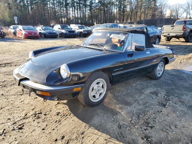 Alfa-romeo Spider (1987)