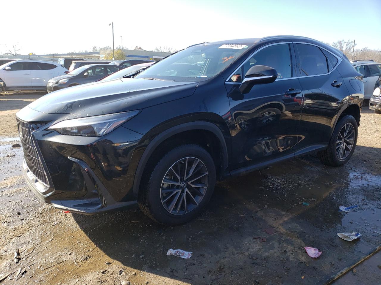 Lexus Nx-300h (2023)