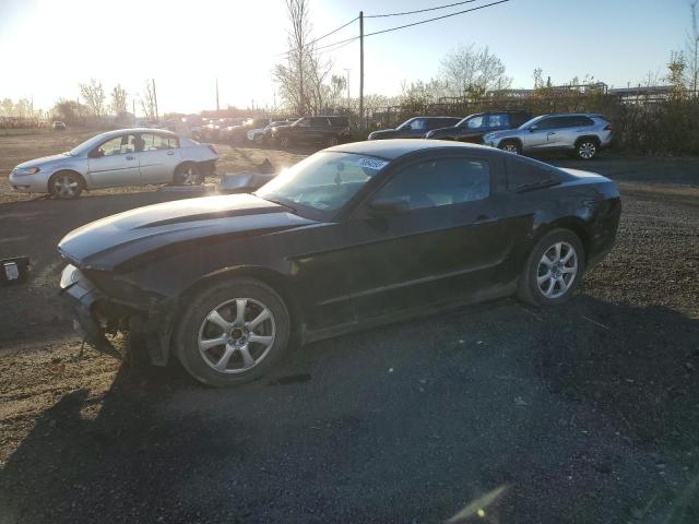 Ford All models (2011)