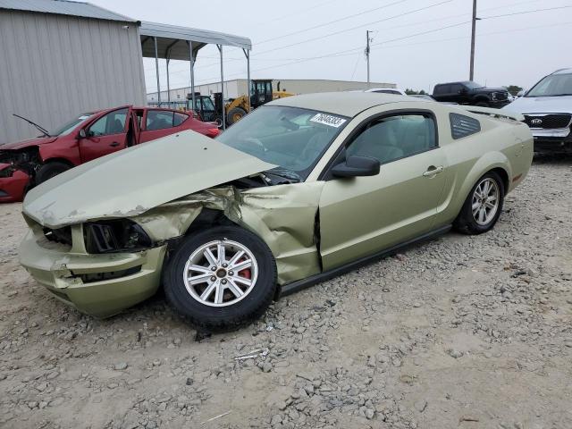 Ford All models (2006)