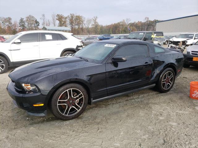 Ford All models (2012)