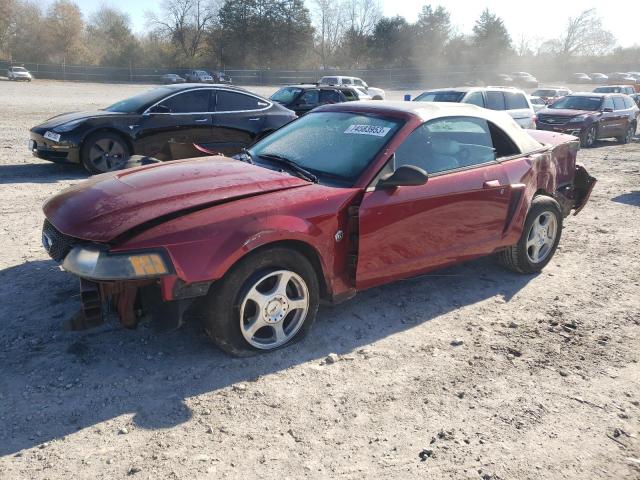 Ford All models (2004)