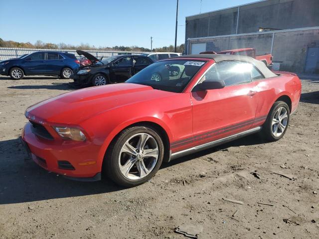 Ford All models (2010)