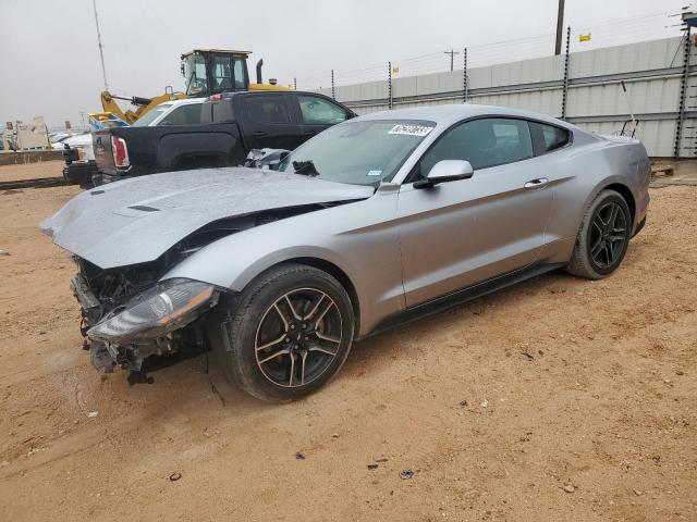 Ford All models (2023)