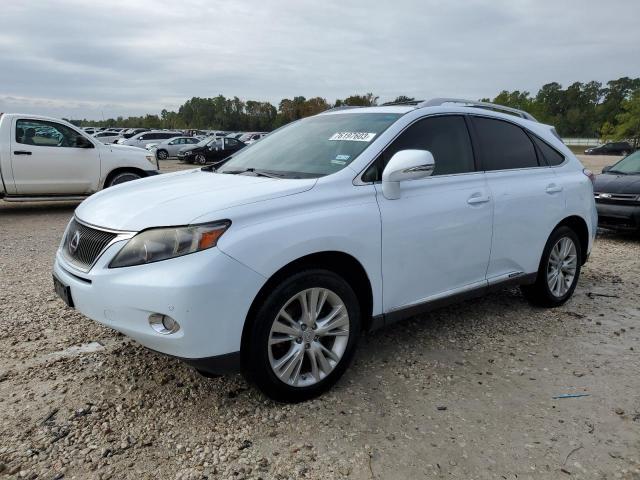Lexus Rx450 (2010)