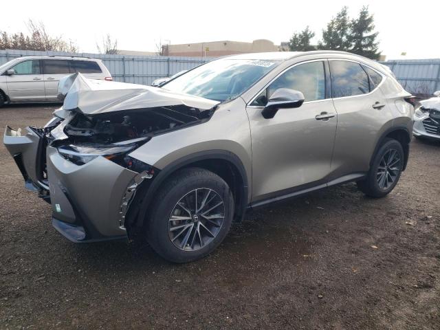 Lexus Nx 250 (2022)