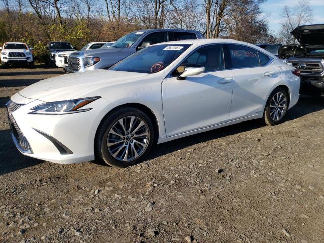 Lexus Es300 (2020)