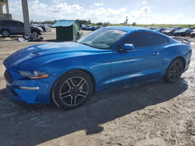 Ford All models (2019)