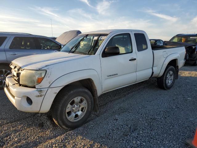 Toyota Tacoma (2006)