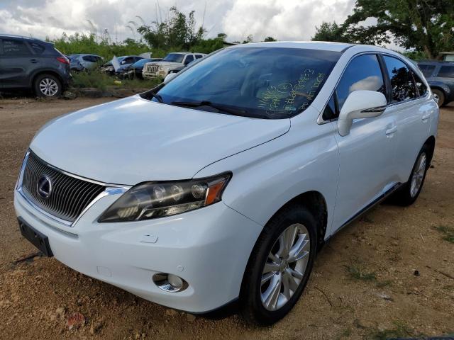 Lexus Rx450 (2010)