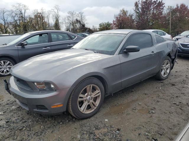 Ford All models (2010)