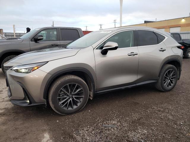 Lexus Nx 250 (2023)