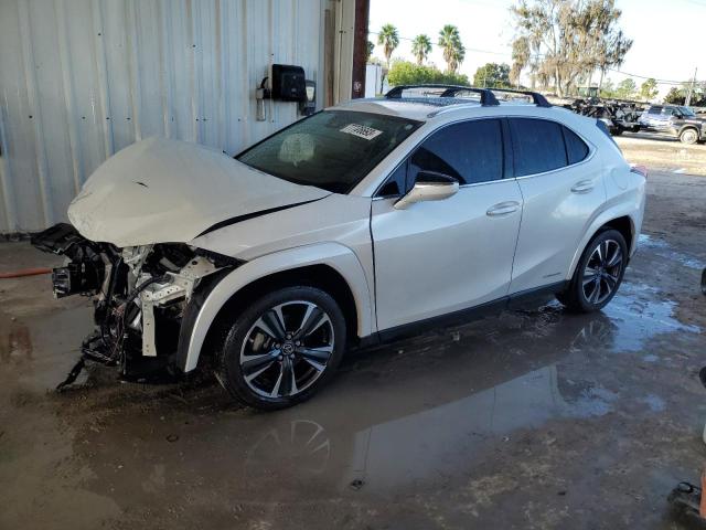 Lexus Ux 250h ba (2022)