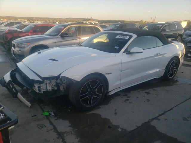 Ford All models (2019)